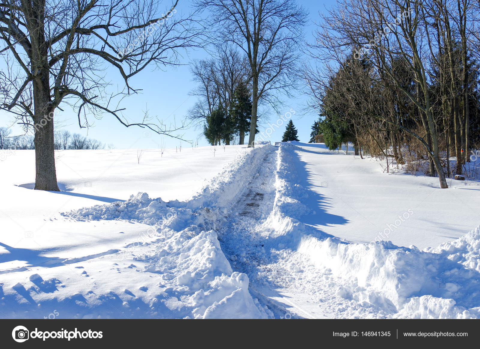 Path Through Snow Stock Photo Image By C Clintonweaverphotos