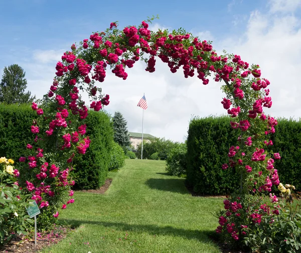 Rose Archway in tuin — Stockfoto