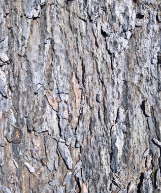 kırık taş arka plan