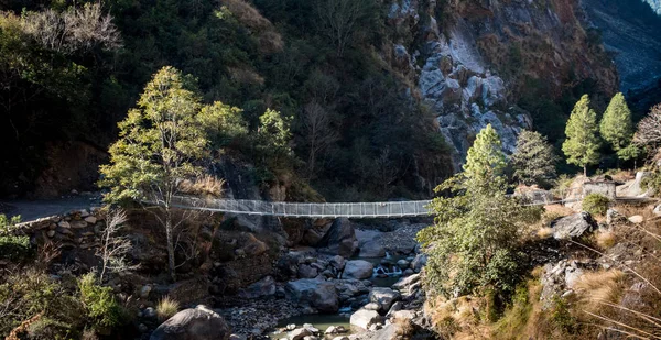 Качающийся мост через ручей — стоковое фото