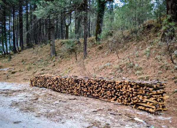 Pila di legno lungo la strada — Foto Stock