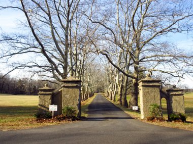 Ağaç çizgili Driveway