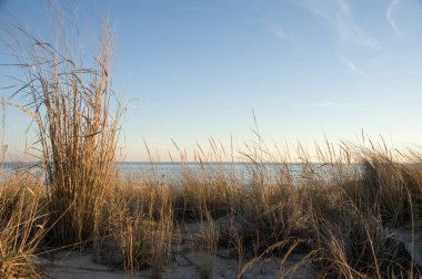 Denizde kum tepeleri