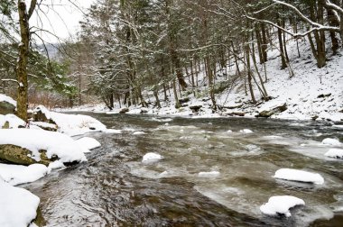 Akarsu karlı ormanda