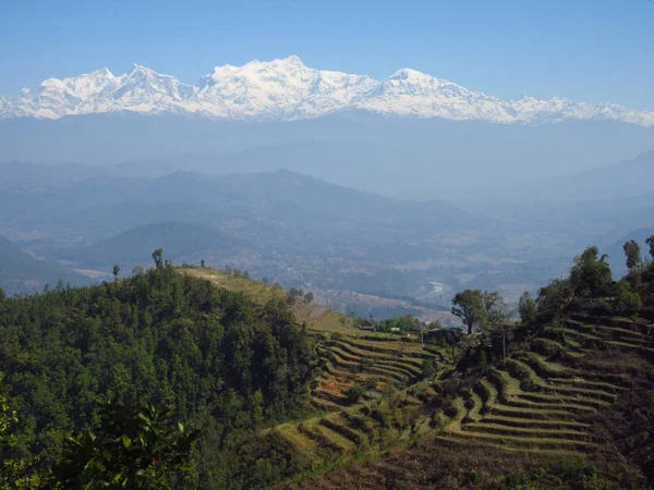 Nepal teraslı Hillside — Stok fotoğraf