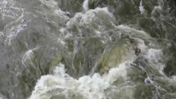 Vatten som rinner i floden — Stockvideo
