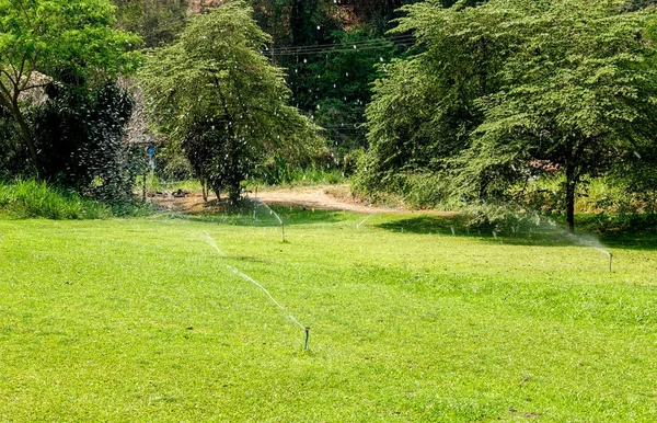 芝生の散水装置 — ストック写真