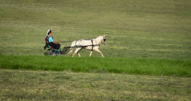 Girls Driving Pony Cart clipart