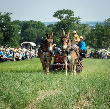 Atlar ve saha çalışması