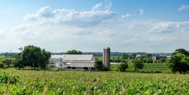 Çiftlik binaları ve alanları