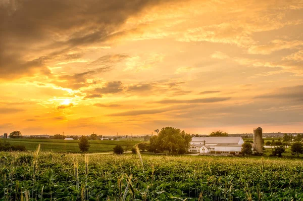 Večer na farmě — Stock fotografie