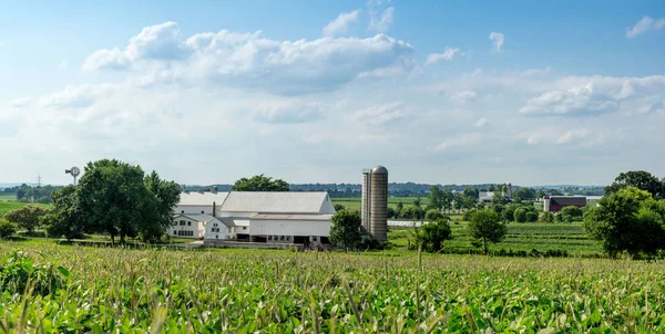 Edificios y campos de granja — Foto de Stock