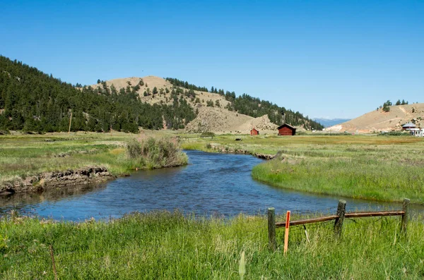 vahşi doğada akışı