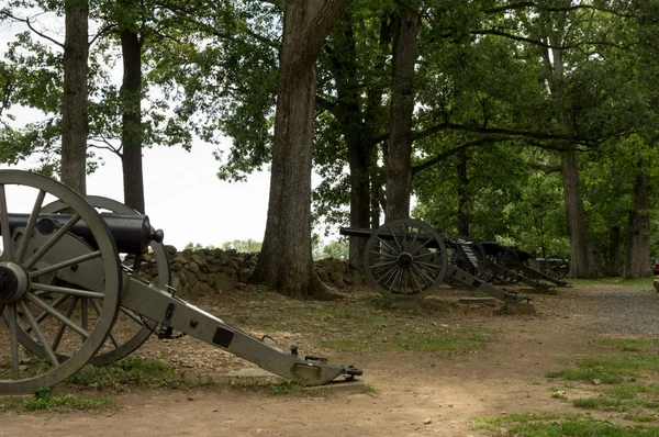 Historyczne armaty artylerii na drzewach — Zdjęcie stockowe