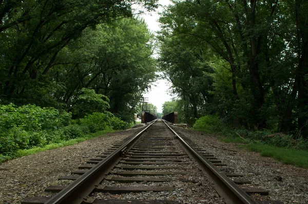 Железнодорожные пути в лесу — стоковое фото