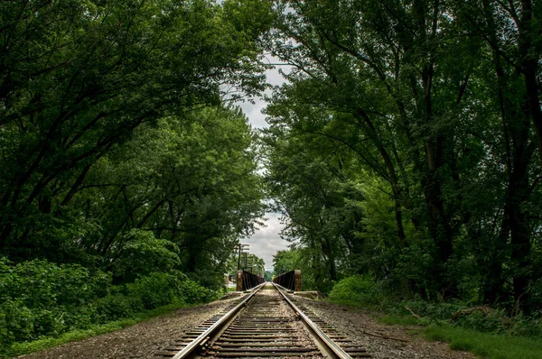 Bahngleise im Wald — Stockfoto