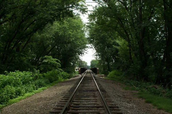 森の中の鉄道線路は — ストック写真