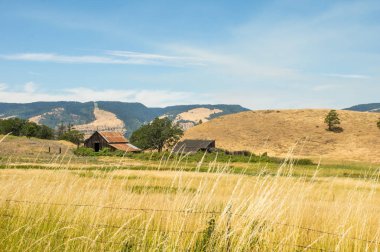 Çayırda eski ahır