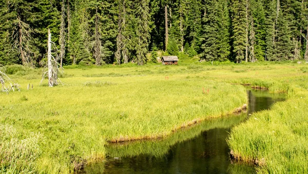 Cabin in the Oregon Wilderness