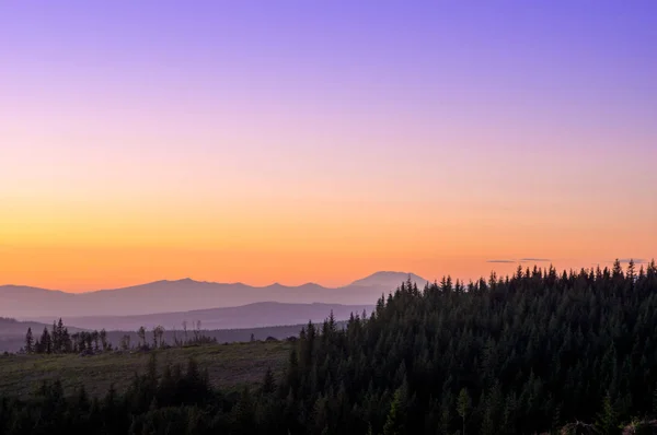 Sunset over the Oregon Pine Forests — Stock Photo, Image