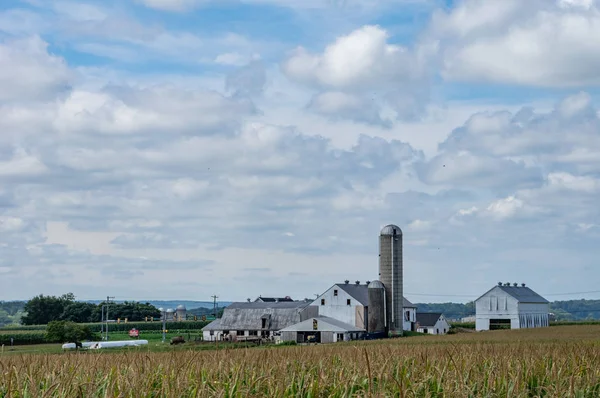 Granja en el campo — Foto de Stock