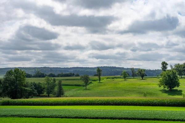 Bujná zelená zemědělská půda na venkově — Stock fotografie