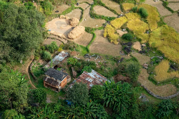 Small Farm in Nepal from the Air — 스톡 사진