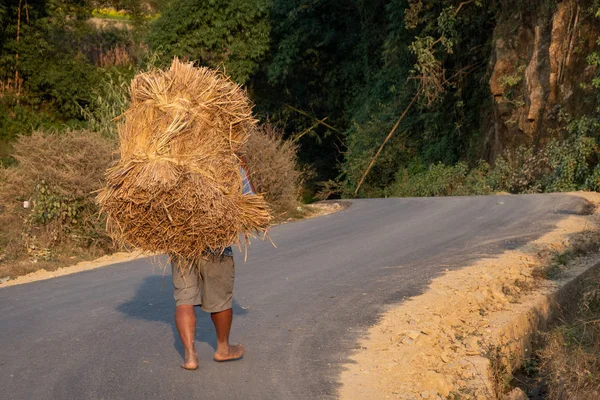 Mann trägt ein Bündel Reis — Stockfoto