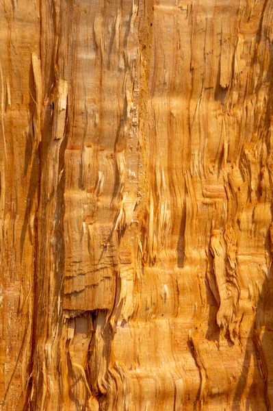 Eine Hintergrundstruktur Aus Gespaltenem Holz Detailliert — Stockfoto