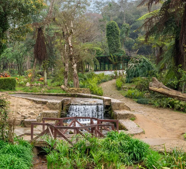 Outdoor Garden Strumieniem Otoczonym Roślinami Krzewami — Zdjęcie stockowe