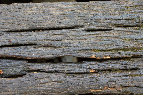 Fondo Tablas Erosionadas Húmedas Por Lluvia — Foto de Stock