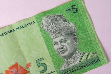 Malezya 'dan beş RM kağıt para notu.