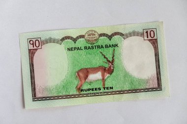 Beyaz Arkaplan Üzerine Nepal Kağıt Banknotu