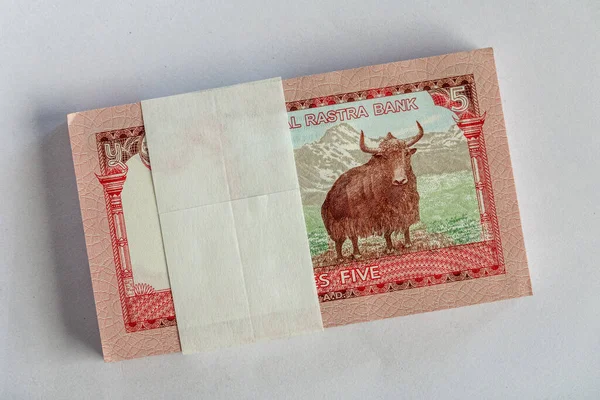ネパール紙幣白地について — ストック写真