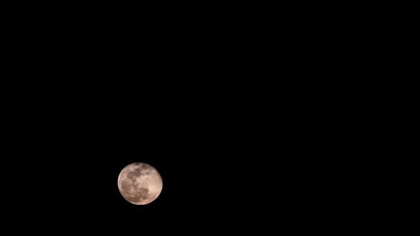 Beauté Lune Levant Dans Ciel Sombre Nuit — Video