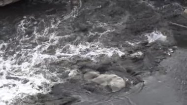 Nepal 'in Katmandu Vadisi' ndeki kirli Bagmati Nehri..