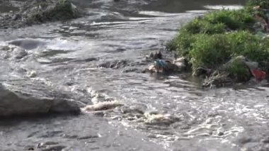 Nepal 'in Katmandu Vadisi' ndeki kirli Bagmati Nehri..