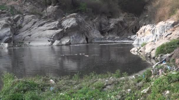 Sale Rivière Bagmati Polluée Dans Vallée Katmandou Népal — Video