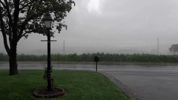 Головний шторм дощу — стокове відео