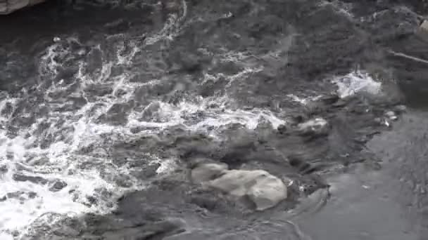 Špinavá Znečištěná Řeka Bagmati Údolí Káthmándú Nepálu — Stock video