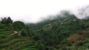 Sis Altında Teraslı Tepeler