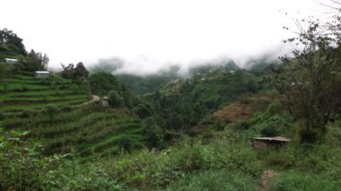 Sisli Hava Altında Teraslı Tepeler
