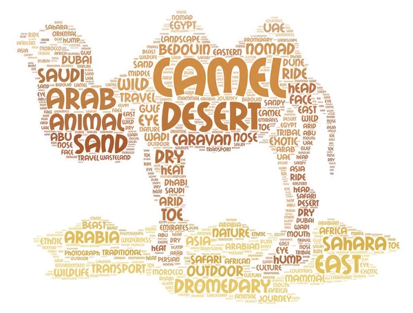 A Camel Word Art Cloud Poster Illustration with many camel words.