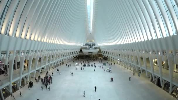 Ein Zeitraffer Bewegungs Video Des Fußgängerverkehrs Oculus Bahnhof New York — Stockvideo