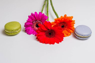 izole macarons beyaz renkli çiçekler