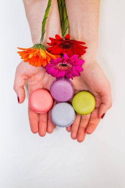 renkli çiçekler ve Fransız macarons