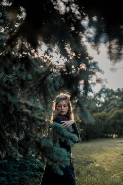 Çam ağacı ve güzel kız 