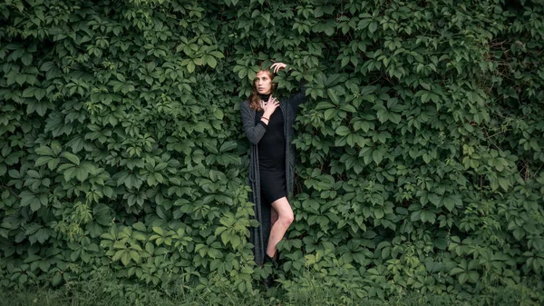 güzel kız bir bahçe duvarı karşı fotoğrafı