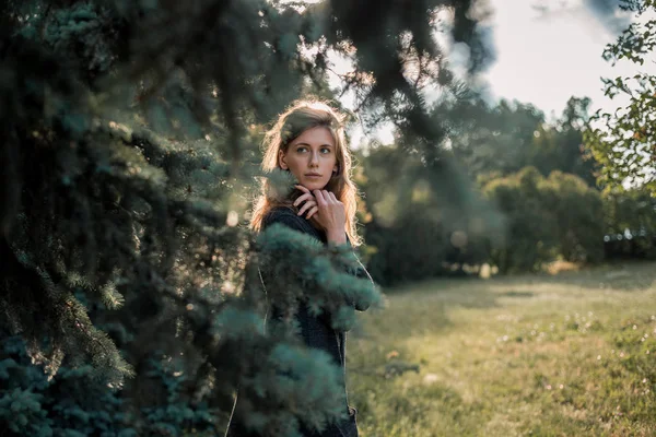 Çam ağacı ve güzel kız 