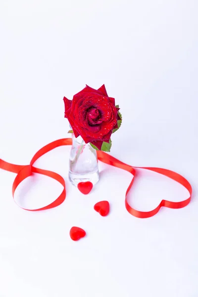 红色的玫瑰在一个白色背景的花瓶里 红丝带做的心红心情人节 特写镜头 有选择的重点 图库照片